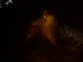 BTT Guimarei - Vilar de Luz