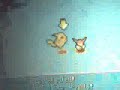 I was bored in PMD, so I decided to video tape myself battleing the bosses.Boss 1/21