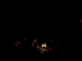 Neko Case performs 