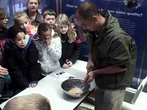 how to fertilized trout eggs