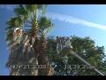 California Fan Palm Fun