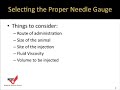 Needle Selection