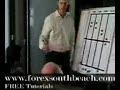 Forex trading course live training with Fibonacci