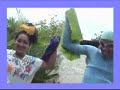 Toy Factory al Rescate el chel