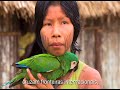 Pare o relógio da extinção e da mudança climática Pare o relógio da extinção e da mudança climática