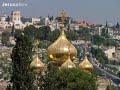 falesteen - Sami Yosof falesteen - Sami Yosof