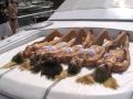 GMBabes Yacht Photo-Shoot at the Monaco F1 GP 2009 Group Shoot 3