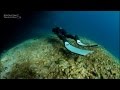 Freediving The Caves - with Linda Paganelli & Stefan Randig