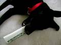 Walter-playing-with-