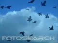 Negramaro&Rustici-Maledette Stelle (Video made by me) Negramaro&Rustici-Maledette Stelle (Video made by me)