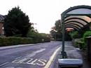 Glimpse of Montefiore