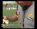 Celso Alves - CaneUtile - Mondioring Celso Alves - CaneUtile - Mondioring