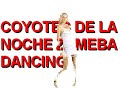 coyotes de la noche dancing