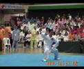 chen style taiji --- lam_man_fai_hugo chen style taiji --- lam_man_fai_hugo