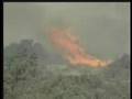 1976-New-Forest-fire