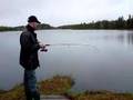 Regnbåge Bofallstjärn