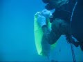 Blue Tang Report 12-8-09_0001.wmv