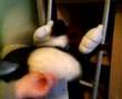 teddy killer