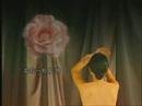 陳茵媺 Aimee Chan TVC