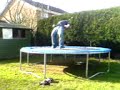 trickset on trampoline