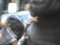 videos de Grillo's nightmare