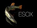 Lucky Lures - ESOX  V2 - swimbait First footage