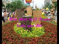 loi tho sung truong & nguyen huu tan
nhac nguyen huu tan
tieng hat nguyen huu tan