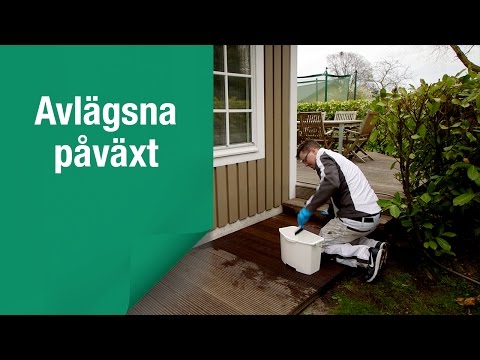 Video Title Video Alt