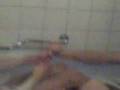 videos de Jerry & Emil goes wild !