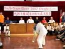 Double Dragon Alliance Masters from China