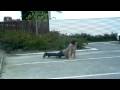ashburton skate