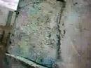 Jungle Island City 2 05242008