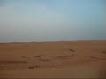 chinguetti chinguitti mauritanie dsert mauritanien.html