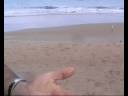 Pesca Cis - Convertir un Bocadito en DOS Pesca Cis - Convertir un Bocadito en DOS