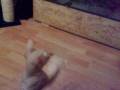 videos de 05122008056.mp4