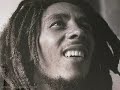 Bob Marley - Natural Mystic (A little bit different version)