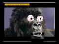 Gorilla Sings Distrubed ( MUST SEE! ) lol Gorilla Sings Distrubed ( MUST SEE! ) lol