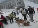 ski holidays