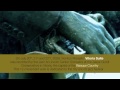 Vitoria Suite - EPK