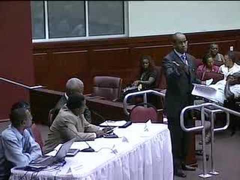 Jamaican Diaspora Elections 2007 ...