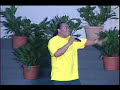 Vaniah - Toku Matua Vaniah - Toku Matua