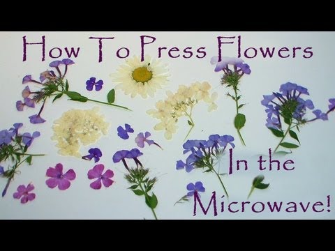 how to properly press flowers
