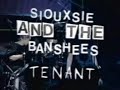 siouxsie   the banshees    tenant