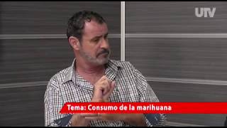 Análisis sobre el consumo de la Marihuana