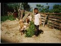 Sarafand Lebanon Sarafand Lebanon