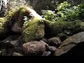 Small creek (summer, Retezat 2008)