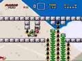 Asshole Mario Stage 10