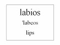 Learn Spanish - Human Body Vocabulary (English version)