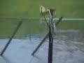 City of Seward, Nebraska flooding my property July 17, 2008