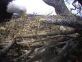 New Baby Eaglet!